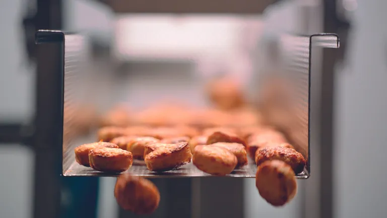 Rügenwalder Mühle: Frikadellen