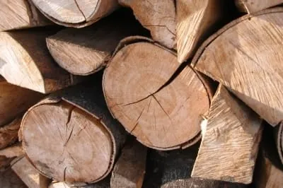 Das Holz macht die Farbe