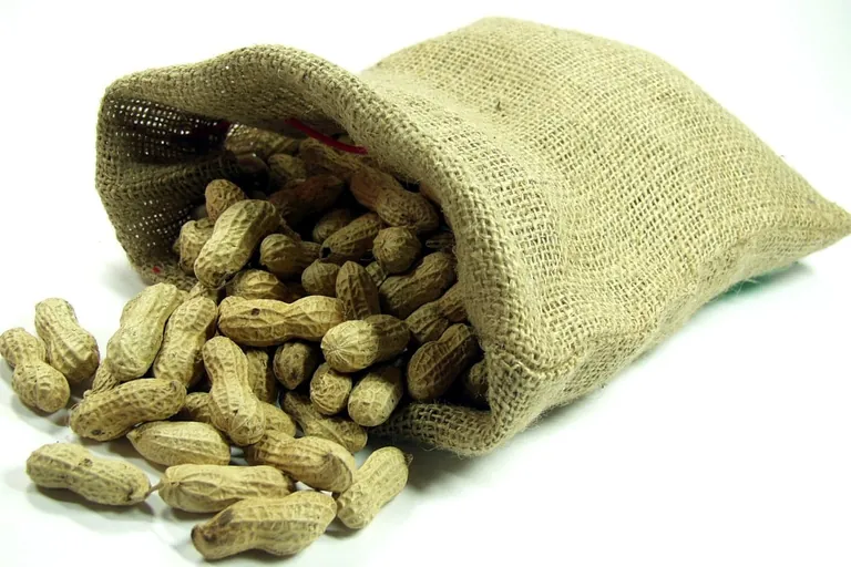 Allergenmanagement in der Praxis