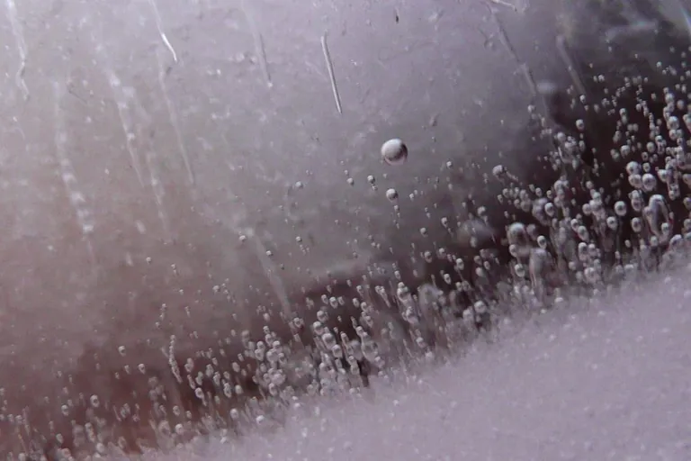 Fleisch optimal einfrieren