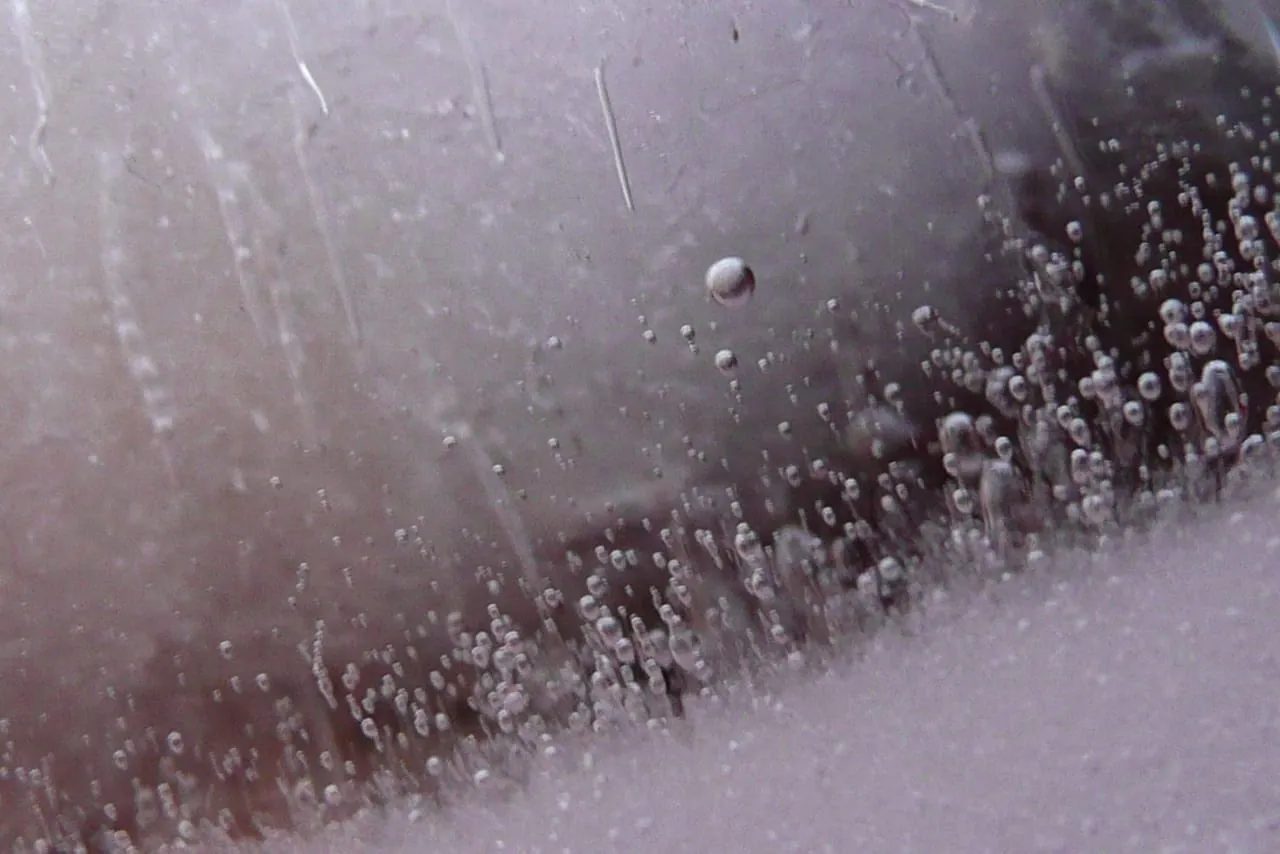 Fleisch optimal einfrieren