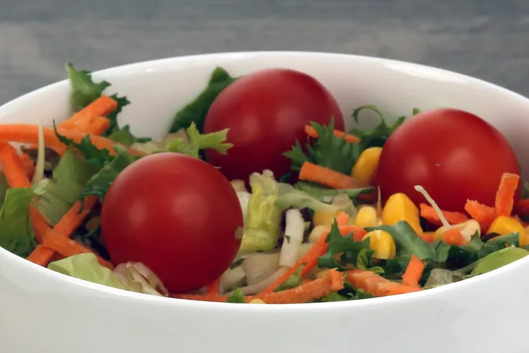 Bunte Vielfalt der Salate