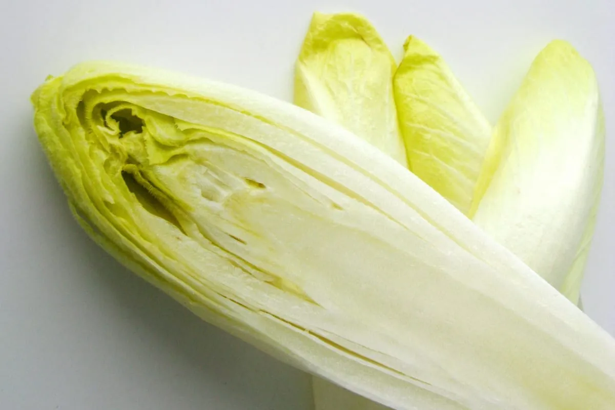 Salatessen ist gesund