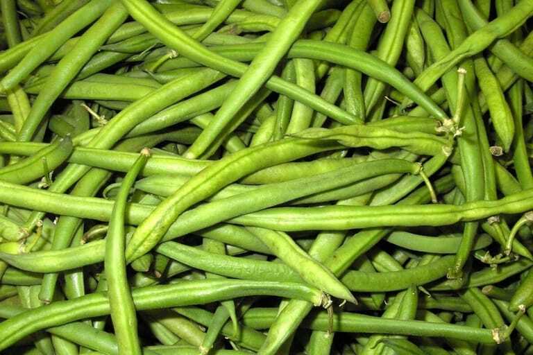 Die vielseitige Bohne Die Fleischerei