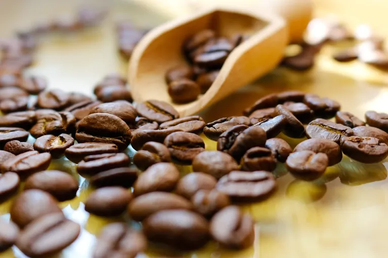 Jede vierte Tasse Kaffee wird außer Haus getrunken