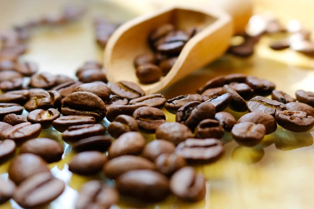Jede vierte Tasse Kaffee wird außer Haus getrunken