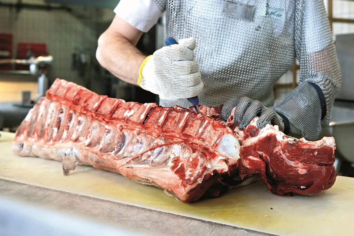 Sicherer Umgang mit Messern