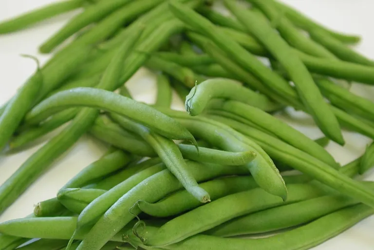 Exotisches Gem&uuml;se f&uuml;r die heimische K&uuml;che