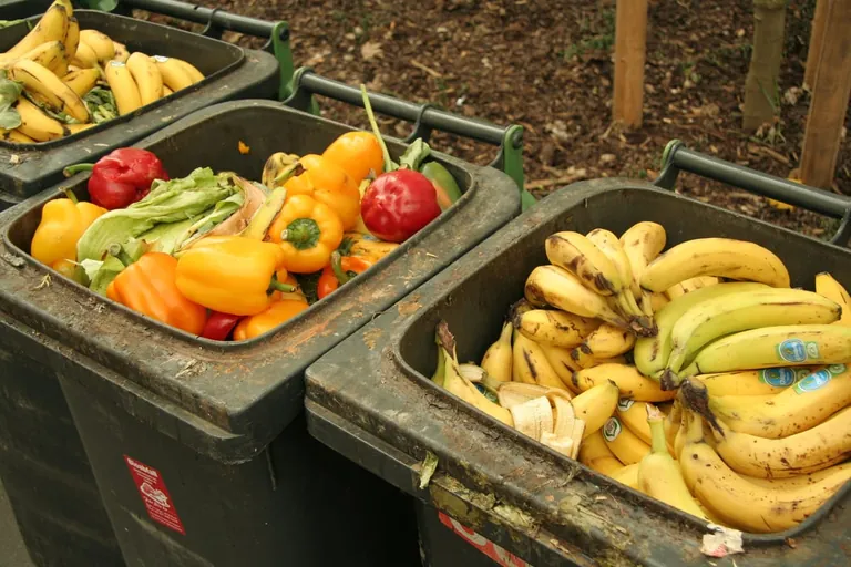 Lebensmittel wertschätzen