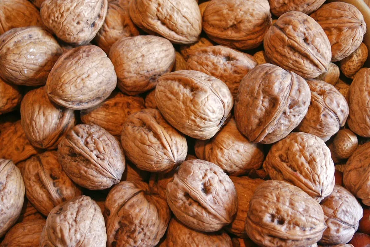 Walnuss: Die Königin der Nüsse