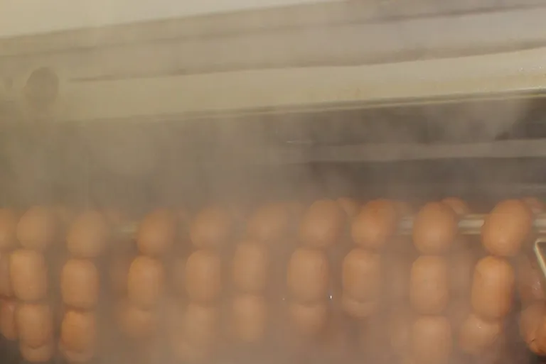 Sicherheitstipp: UV-Strahler in Abluftanlagen