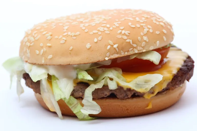 Fastfood unter der Lupe