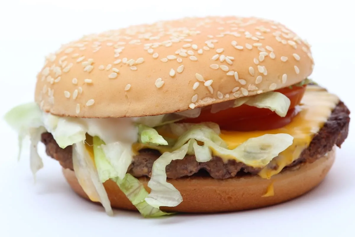 Fastfood unter der Lupe