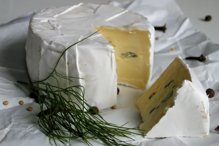 Camembert im Test: Im Geschmack eher entt&auml;uschend