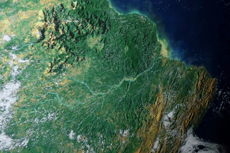 Palm&ouml;l in der Diskussion