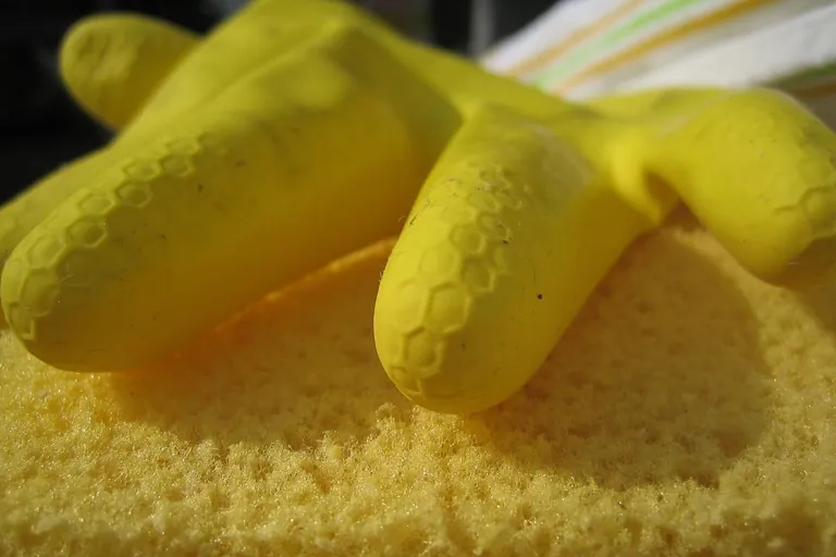 Hygienef&uuml;hrerschein: Mehr Sachkunde f&uuml;r Neu-Gastronomen