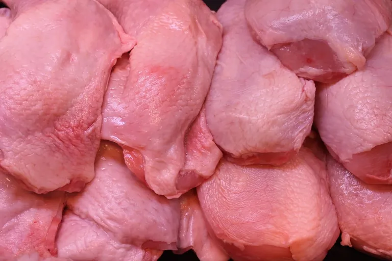 Campylobacter-Infektionen vermeiden