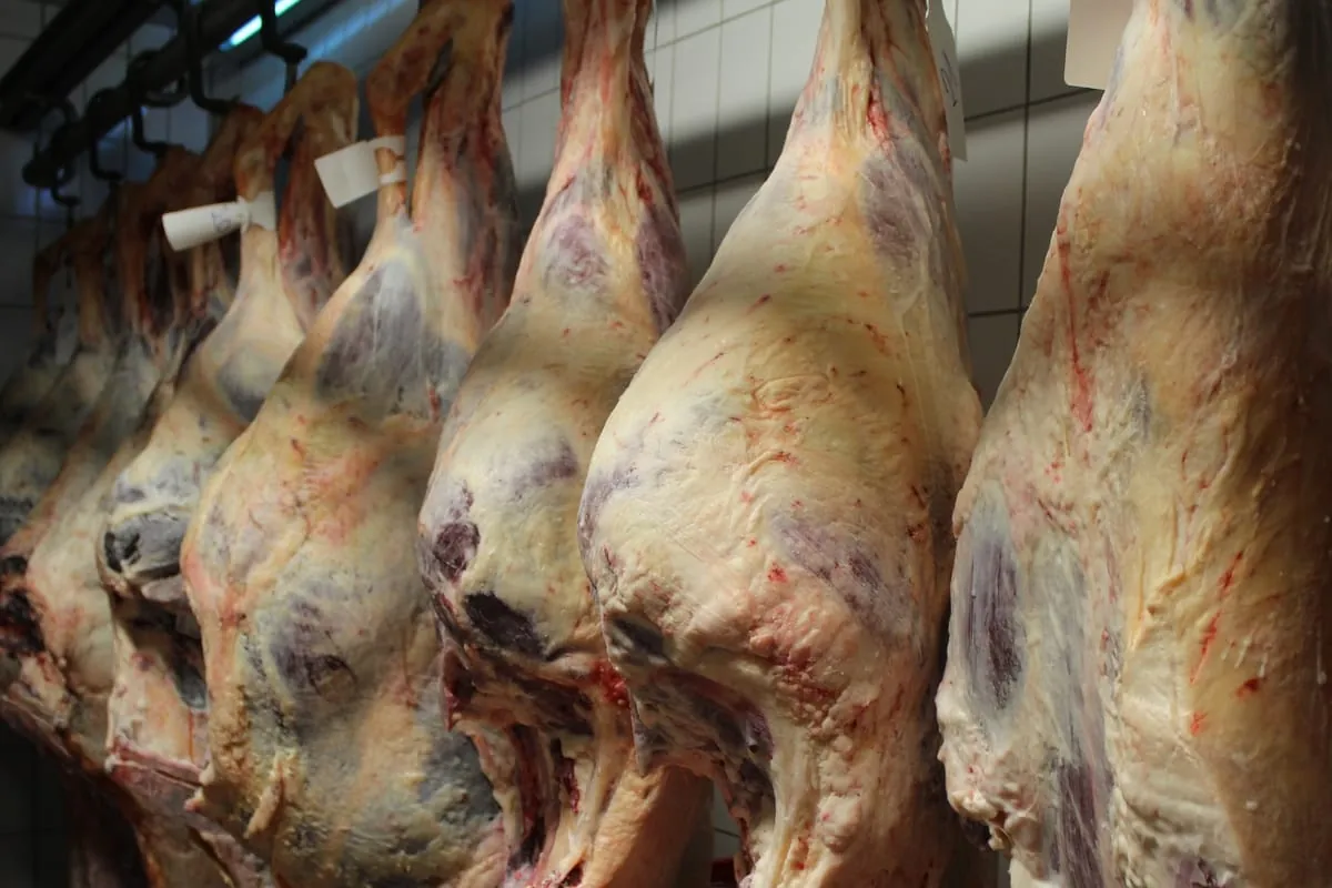 Umsatzrückgang im Agribusiness