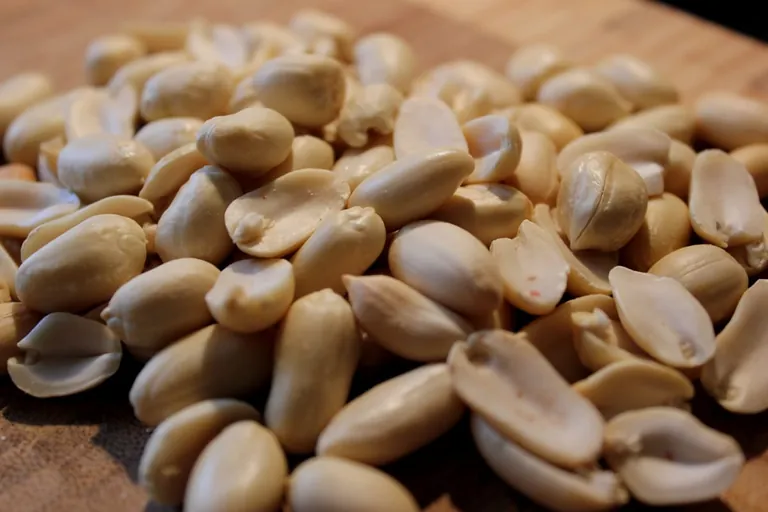 Allergie oder Lebensmittelunvertr&auml;glichkeit