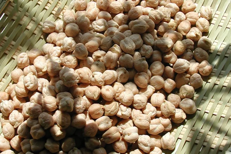 Alles aus Kichererbse