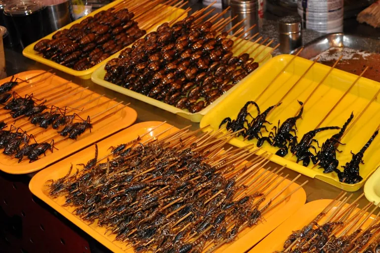 Speiseinsekten: Neue Herausforderungen f&uuml;r die amtliche Lebensmittel&uuml;berwachung