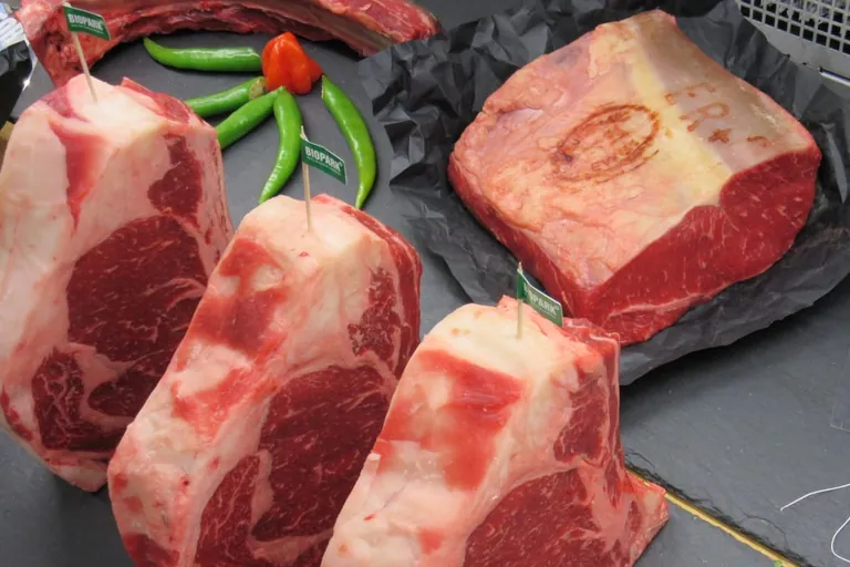 Bio-Lebensmittel unter der Lupe