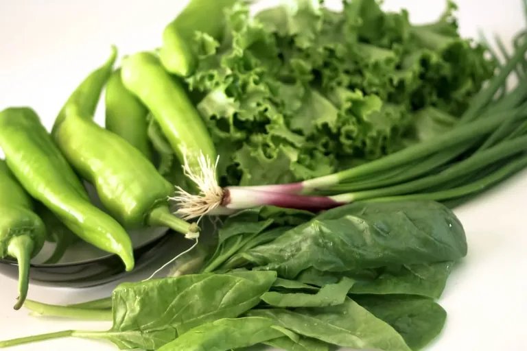 Folat in der Ern&auml;hrung