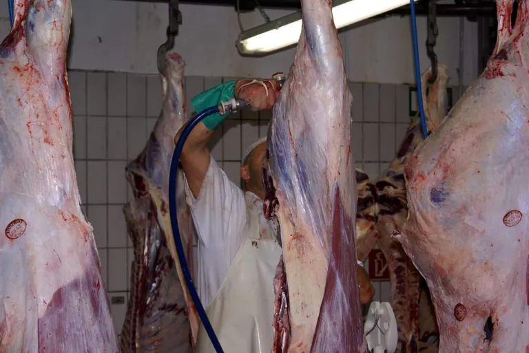 Digitale L&ouml;sungen f&uuml;r mehr Lebensmittelsicherheit