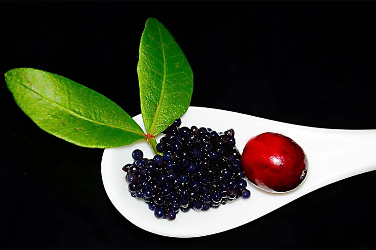 Kaviar &ndash; das etwas andere Ei 