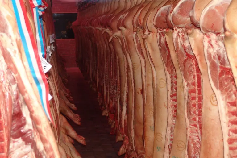 TV-Berichte &uuml;ber die Branche bleiben kritisch