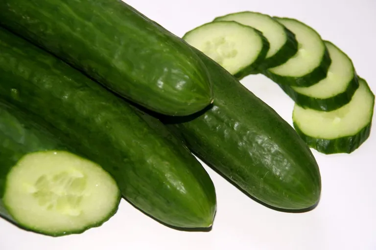 Salatgurken