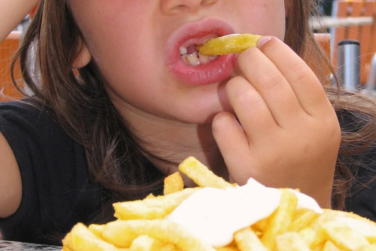 Qualitätsstandards für die Kitaverpflegung