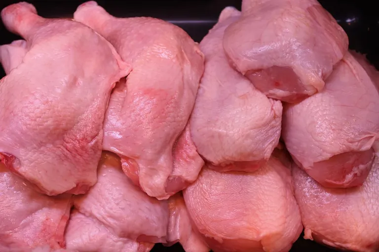 Krankheitskeime: Campylobacter kaum bekannt