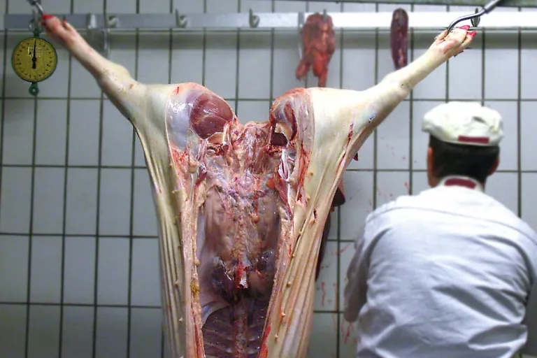 Erzeugerpreise im Mai 2019