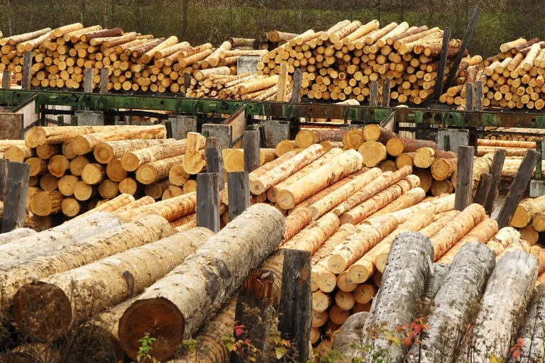 Kreislaufwirtschaft wird neue Normalit&auml;t