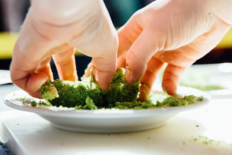 Fleischersatzprodukte: Gutes Gewissen im K&uuml;hlregal?