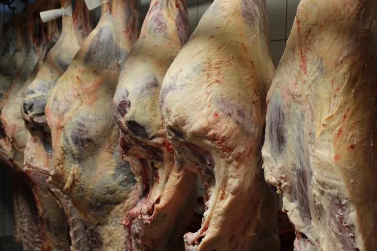 Fleischproduktion gesunken