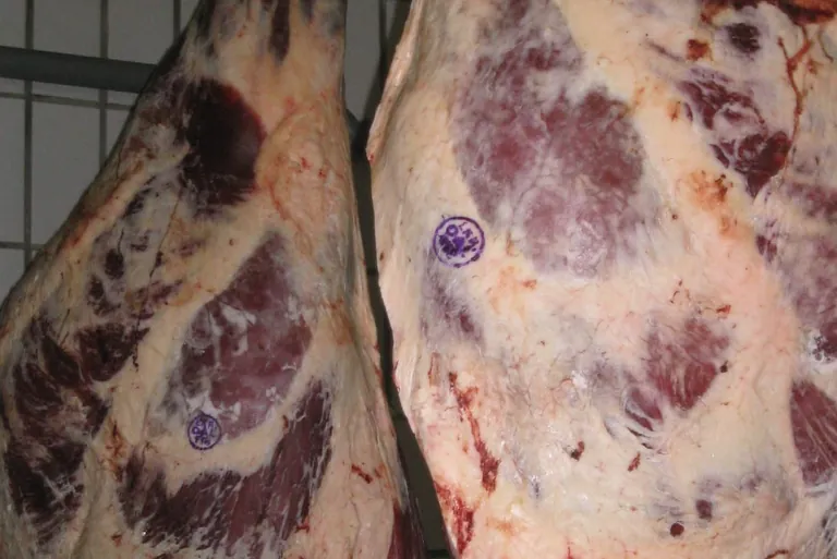 Erzeugerpreise im Juli 2019