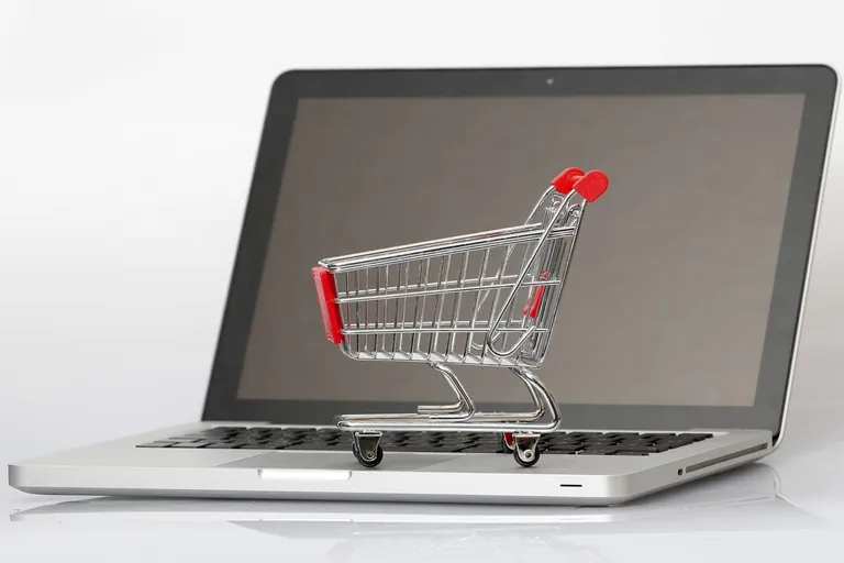 Online-Lebensmittelhandel w&auml;chst kr&auml;ftig