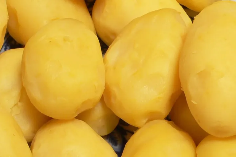Kartoffeln: Kalorienarm mit wertvollen Inhaltsstoffen