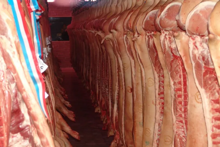 Rohstoffbeschaffung: Nachhaltigkeit im Trend