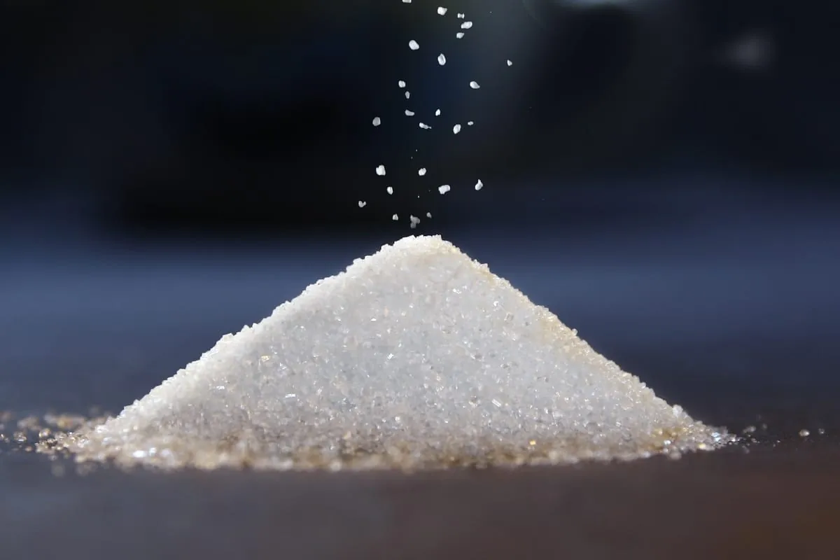 DGE: Gesicherte Ernährungsempfehlungen bleiben stabil