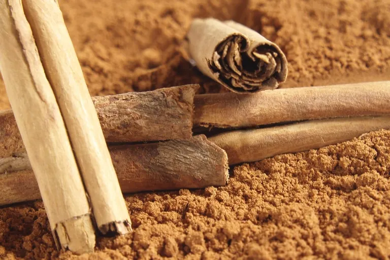 W&uuml;rzige Klassiker aus der chinesischen K&uuml;che