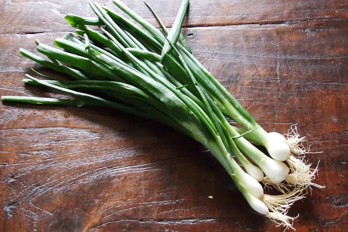 Frühlingszwiebel: Ein Allroundtalent in der Küche