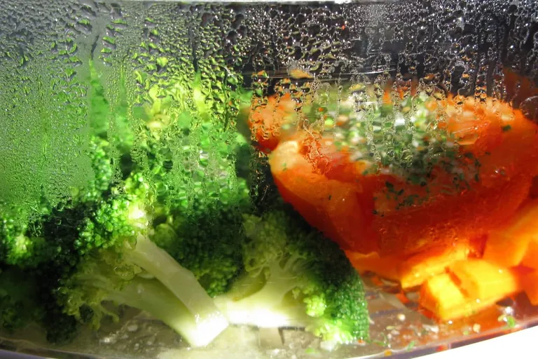 D&auml;mpfen, D&uuml;nsten, Schmoren: Lebensmittel schonend garen