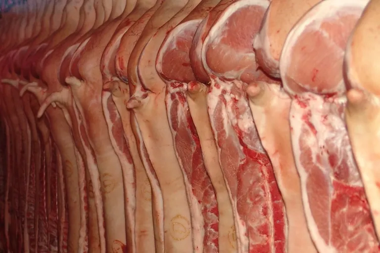 Der VDF unterst&uuml;tzt die Abschaffung von Werkvertr&auml;gen