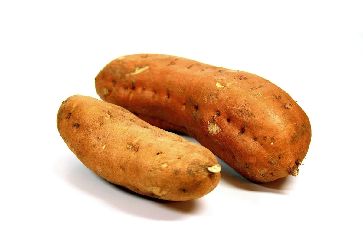 Süßkartoffeln: Gemüse mit Potenzial