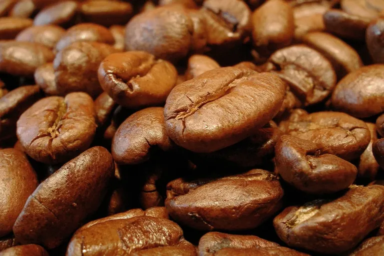 Deutscher Kaffeemarkt ist 2019 erneut gewachsen