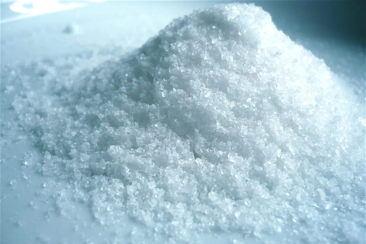 Zu viel Salz schwächt Immunsystem