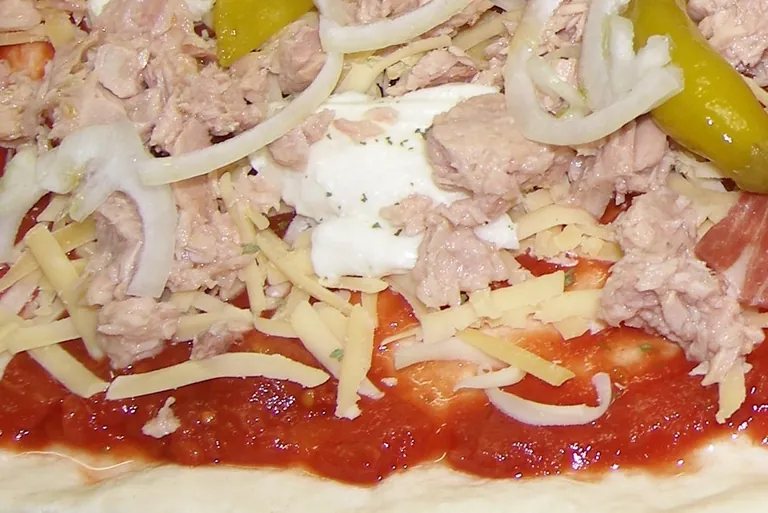 Geschmackstest: Thunfisch im eigenen Saft